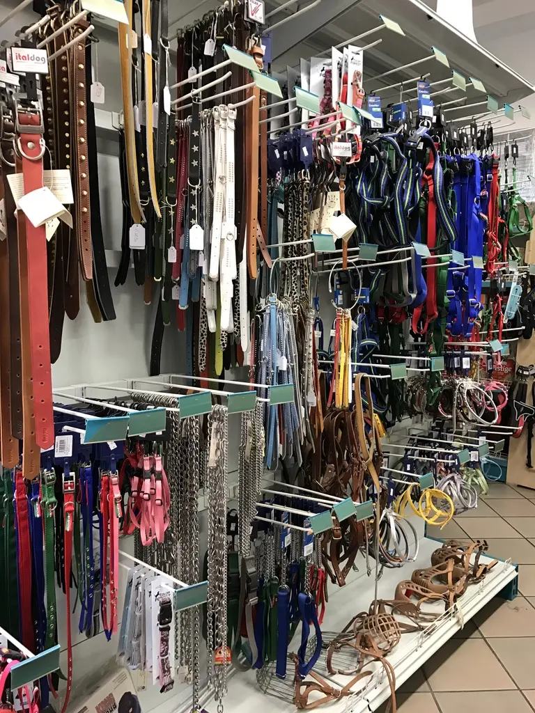 Collari, pettorine e accessori esposti nel negozio O.D. Zoo
